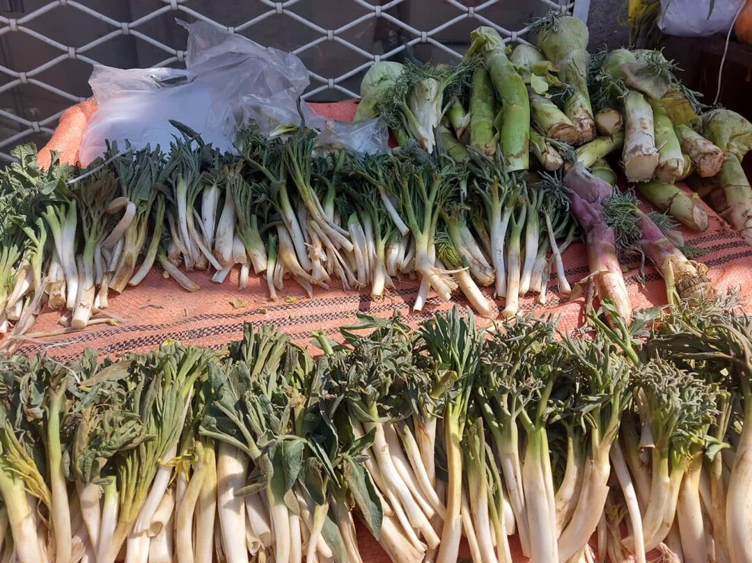 کما؛ میراث طبیعی خراسان جنوبی