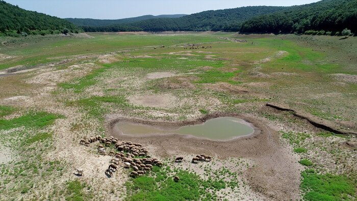 چرخه ناتمام مشکلات در قلب شهر دوقارهای