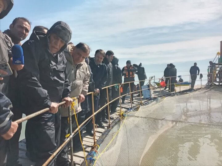 برای رهایی خلیج گرگان از بحران چه راهکارهایی اندیشیده شده است؟