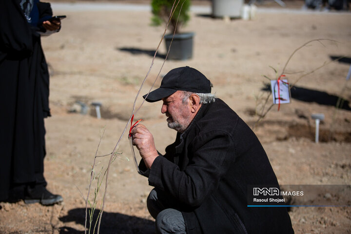 آیین کاشت خانوادگی درخت در آرامستان باغ رضوان