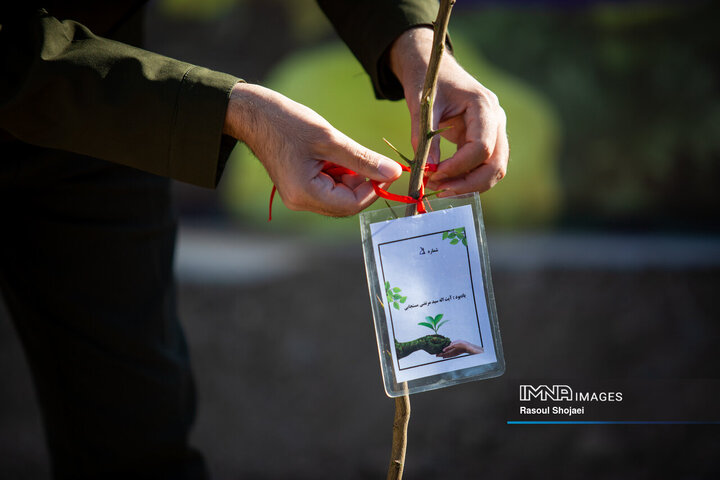 آیین کاشت خانوادگی درخت در آرامستان باغ رضوان