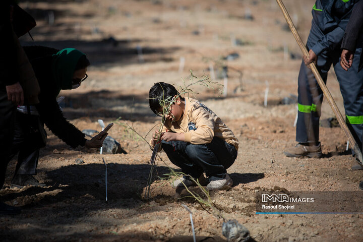 آیین کاشت خانوادگی درخت در آرامستان باغ رضوان