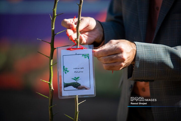 آیین کاشت خانوادگی درخت در آرامستان باغ رضوان