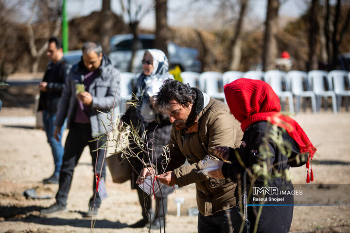 آیین کاشت خانوادگی درخت در آرامستان باغ رضوان