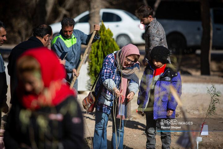 آیین کاشت خانوادگی درخت در آرامستان باغ رضوان
