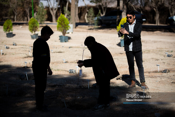 آیین کاشت خانوادگی درخت در آرامستان باغ رضوان