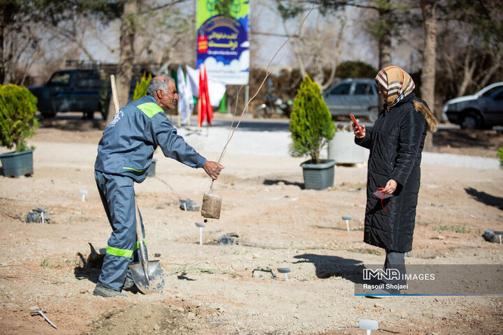 آیین کاشت خانوادگی درخت در آرامستان باغ رضوان
