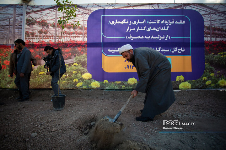 آیین کاشت خانوادگی درخت در آرامستان باغ رضوان