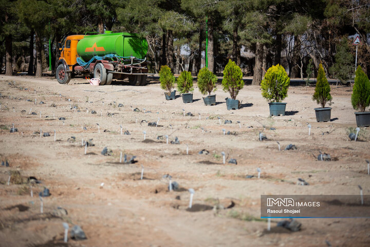 آیین کاشت خانوادگی درخت در آرامستان باغ رضوان