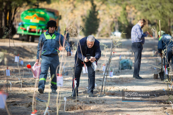 آیین کاشت خانوادگی درخت در آرامستان باغ رضوان