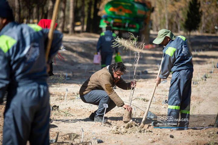 آیین کاشت خانوادگی درخت در آرامستان باغ رضوان