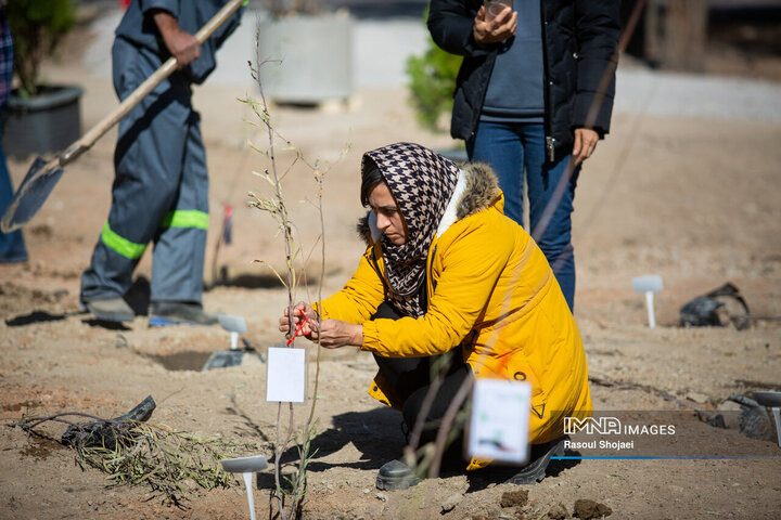 آیین کاشت خانوادگی درخت در آرامستان باغ رضوان