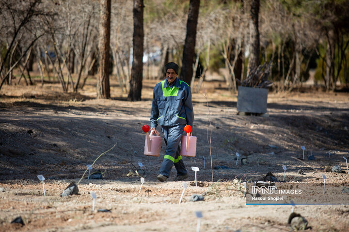 آیین کاشت خانوادگی درخت در آرامستان باغ رضوان