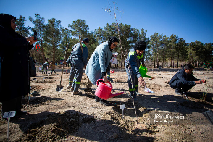 آیین کاشت خانوادگی درخت در آرامستان باغ رضوان