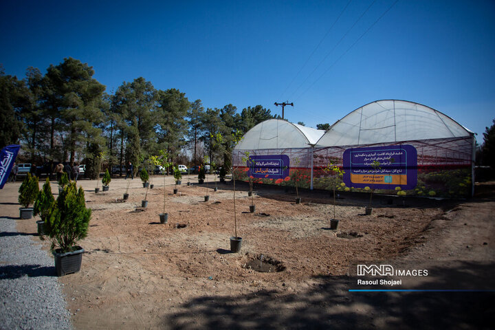آیین کاشت خانوادگی درخت در آرامستان باغ رضوان