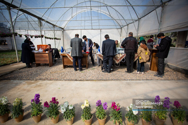 آیین کاشت خانوادگی درخت در آرامستان باغ رضوان
