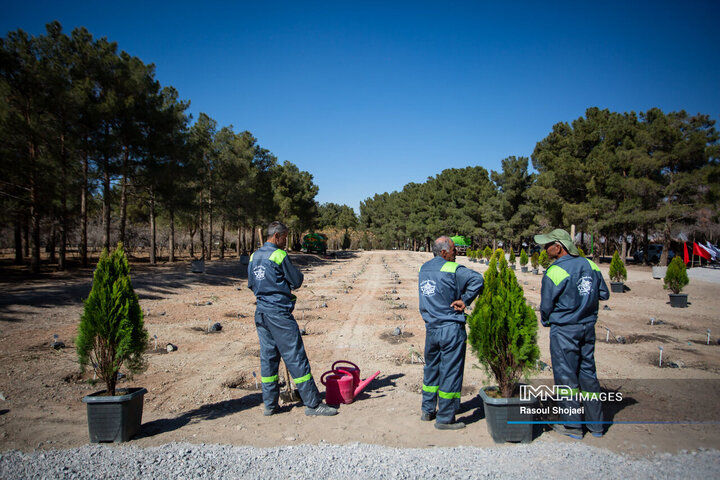 آیین کاشت خانوادگی درخت در آرامستان باغ رضوان