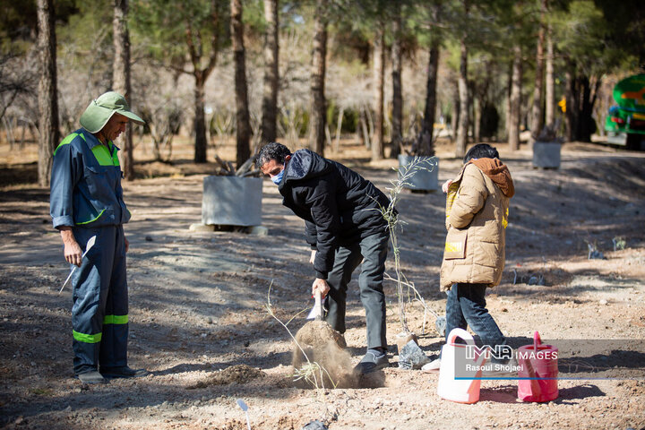 آیین کاشت خانوادگی درخت در آرامستان باغ رضوان