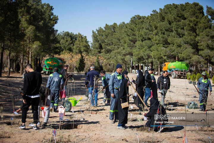 آیین کاشت خانوادگی درخت در آرامستان باغ رضوان