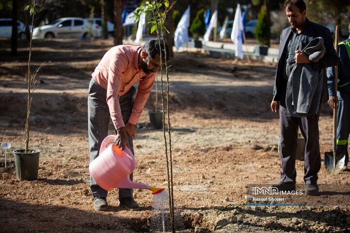 آیین کاشت خانوادگی درخت در آرامستان باغ رضوان