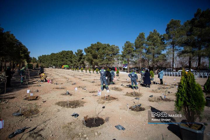 آیین کاشت خانوادگی درخت در آرامستان باغ رضوان