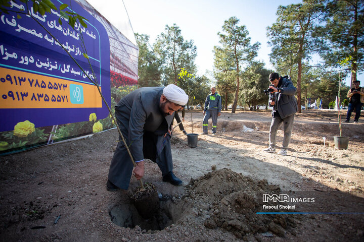 آیین کاشت خانوادگی درخت در آرامستان باغ رضوان