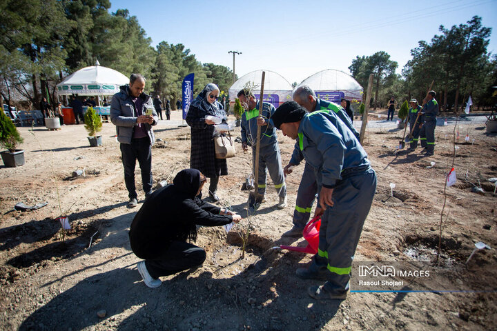آیین کاشت خانوادگی درخت در آرامستان باغ رضوان