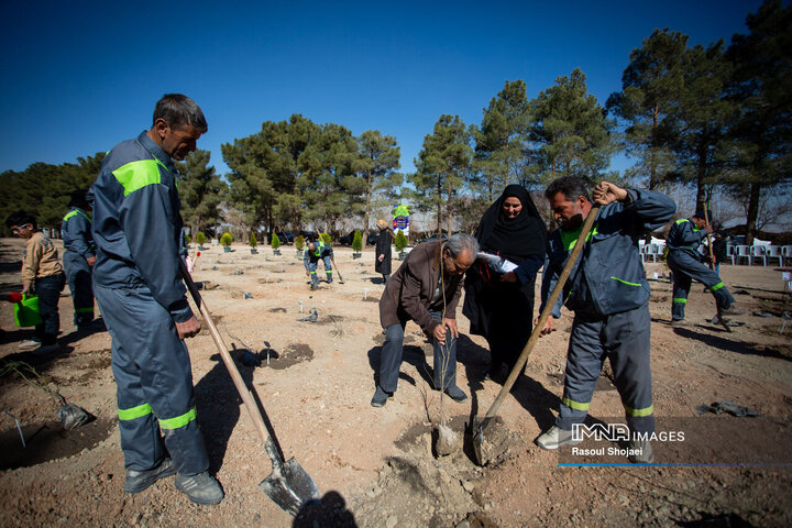 آیین کاشت خانوادگی درخت در آرامستان باغ رضوان