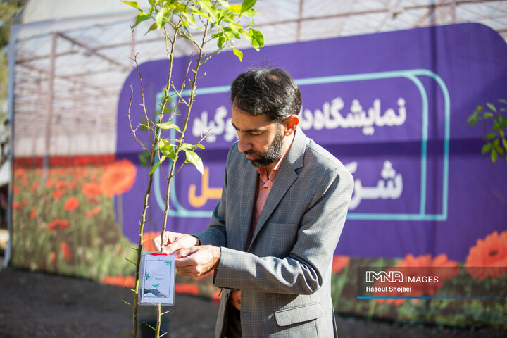 آیین کاشت خانوادگی درخت در آرامستان باغ رضوان