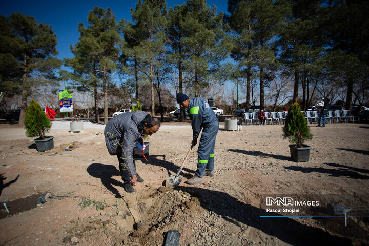 کاشت ۳۰ هزار اصله نهال در تفرجگاه‌های ائل‌باغی و عباس‌میرزای تبریز