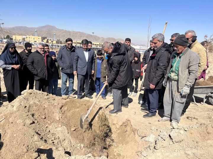 کاشت گونه‌های کم‌آب‌بر، اولویت توسعه فضای سبز اراک