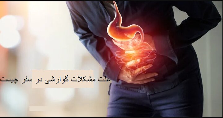 10 نکته طلایی برای پیشگیری از مشکلات گوارشی در سفر 10 نکته طلایی برای پیشگیری از مشکلات گوارشی در سفر