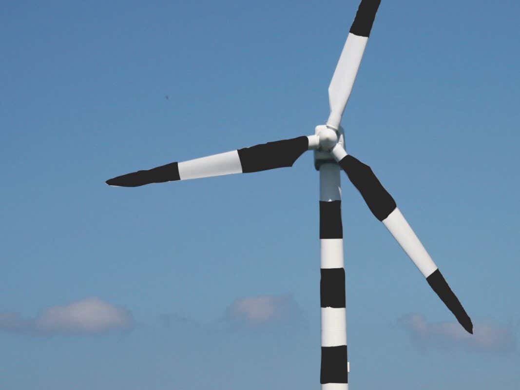 چرا توربینهای بادی در این کشور سیاه شد؟