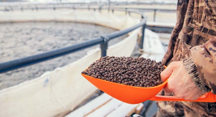 چهارمحالوبختیاری، قلب تپنده زنجیره تولید ماهیان سردآبی