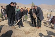 ۱۹ هزار نهال در شهرکرد کاشته می‌شود