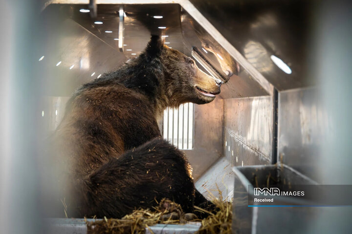 برندگان و فینالیست های مسابقه عکاسی طبیعت 2024