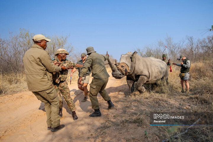 برندگان و فینالیست های مسابقه عکاسی طبیعت 2024
