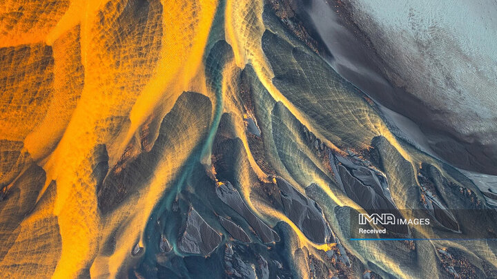 برندگان و فینالیست های مسابقه عکاسی طبیعت 2024