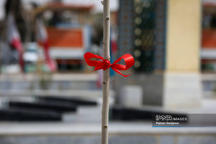 برنامه‌های ویژه‌ای برای توسعه پارک‌های منطقه‌ای و فرامنطقه‌ای داریم