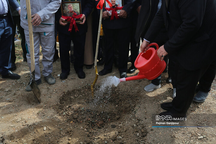 ویژه برنامه درختکاری «نهال ایثار»