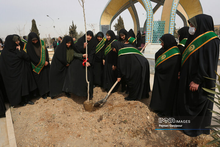 ویژه برنامه درختکاری «نهال ایثار»