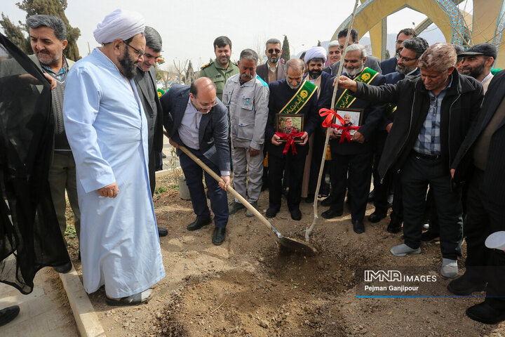 ویژه برنامه درختکاری «نهال ایثار»