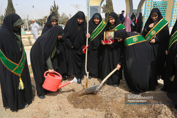 ویژه برنامه درختکاری «نهال ایثار»
