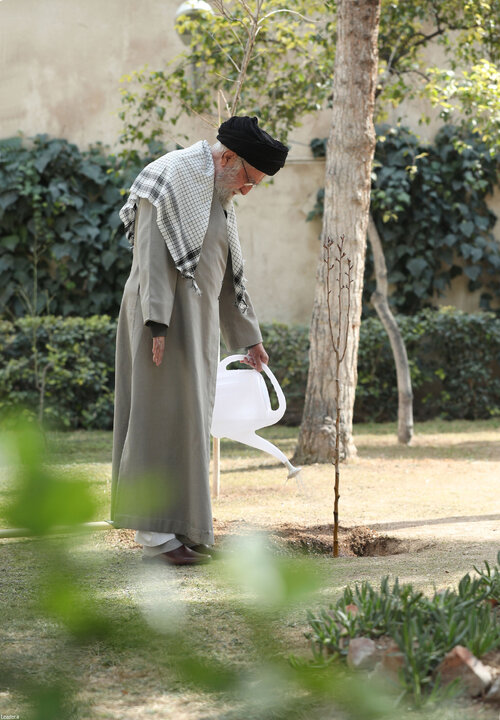 کاشت نهال توسط رهبر انقلاب در هفته منابع طبیعی