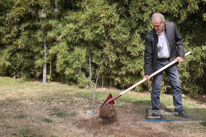 کاشت نهال توسط رئیس جمهور در روز درختکاری