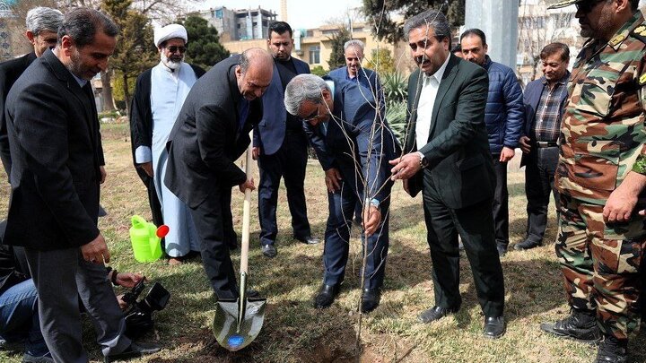 کاشت نیم میلیون درخت در خراسان‌رضوی طی هفته منابع طبیعی