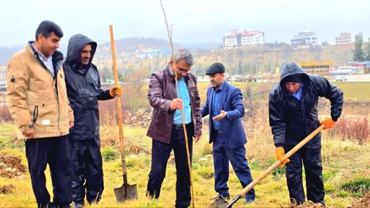 کاشت ۲ هزار اصله درخت توسط شهرداری یاسوج