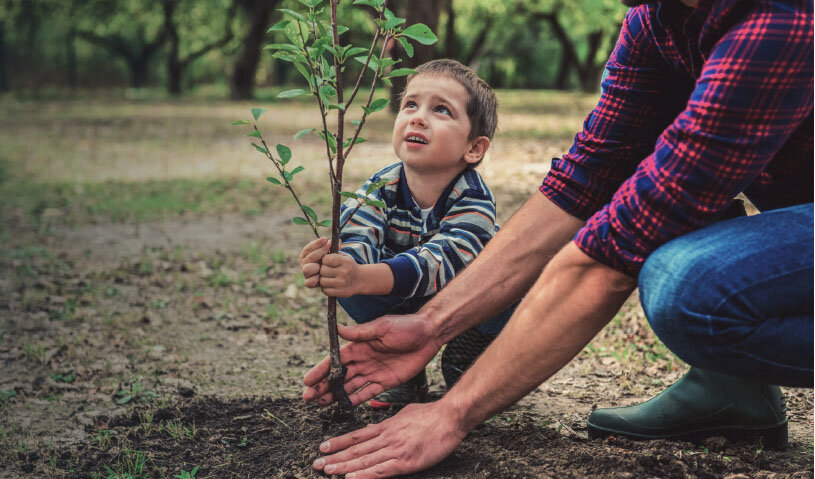 از جذب ۷۰۰ نیروی محیط زیستی تا پایش هوشمند رودخانهها و سدها با تصاویر ماهوارهای ایرانی