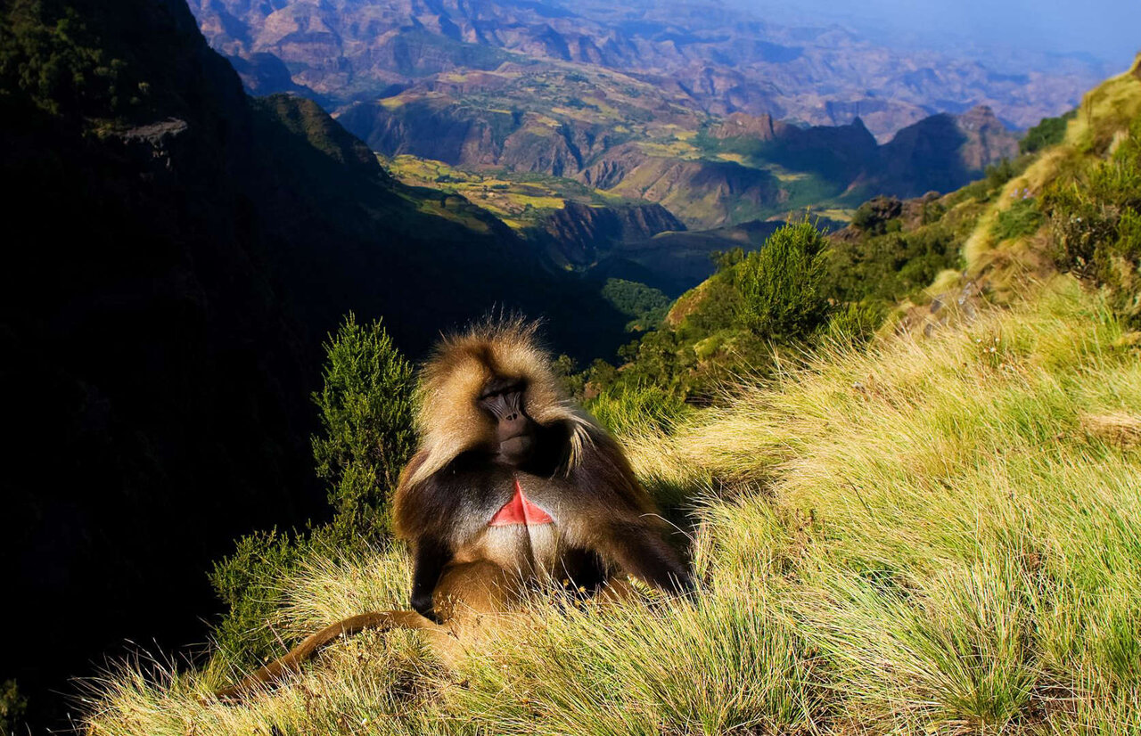 زیباترین مناظر طبیعی جهان