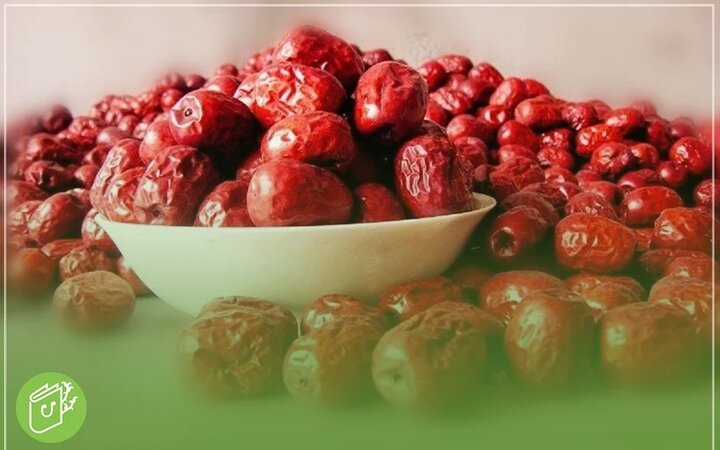 زمان چیدن عناب از درخت | بهترین زمان برای برداشت و نحوه چیدن